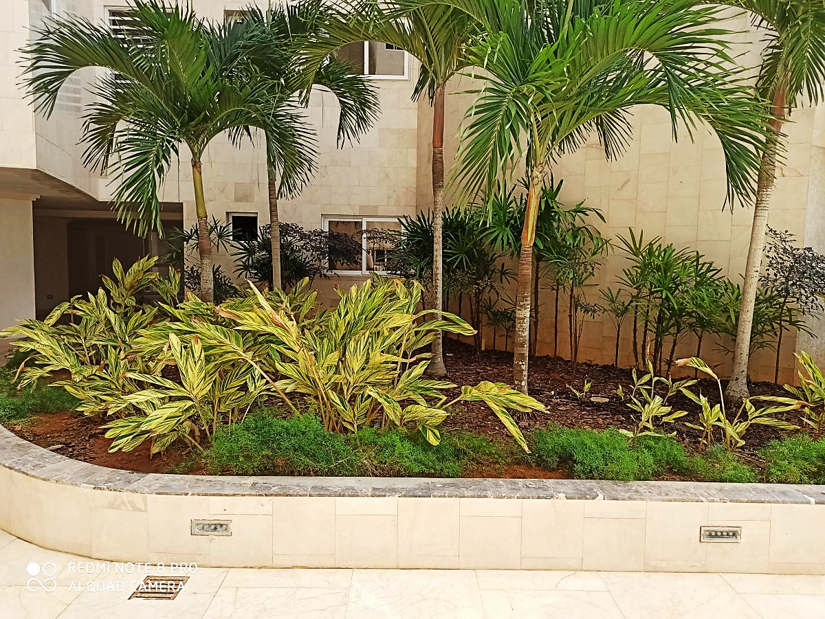APARTAMENTO EN JORGE COLL, EN VENTA