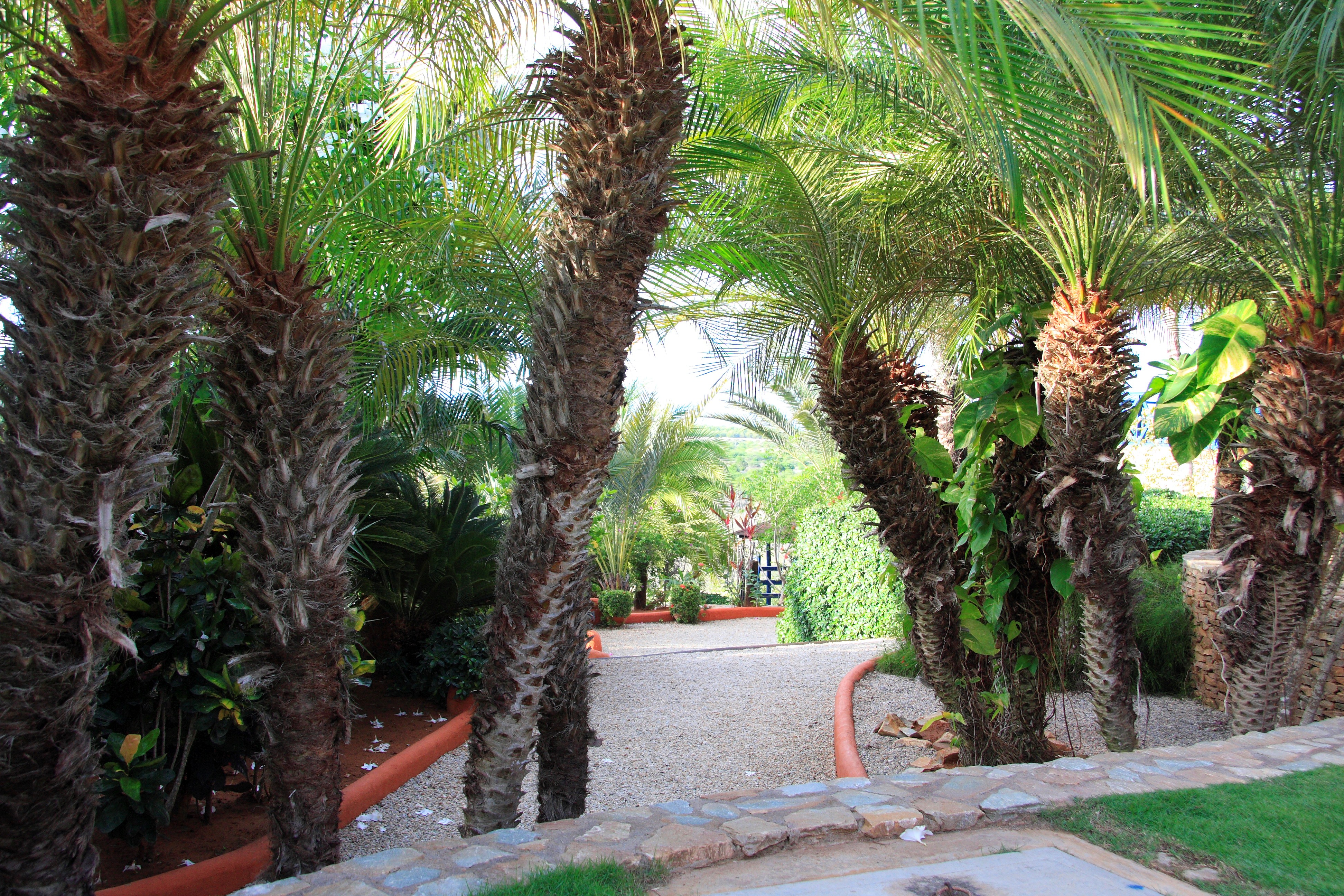 BELLA CASA EN VENTA EN ZONA ESTE URB CASA DE CAMPO COUNTRY CLUB