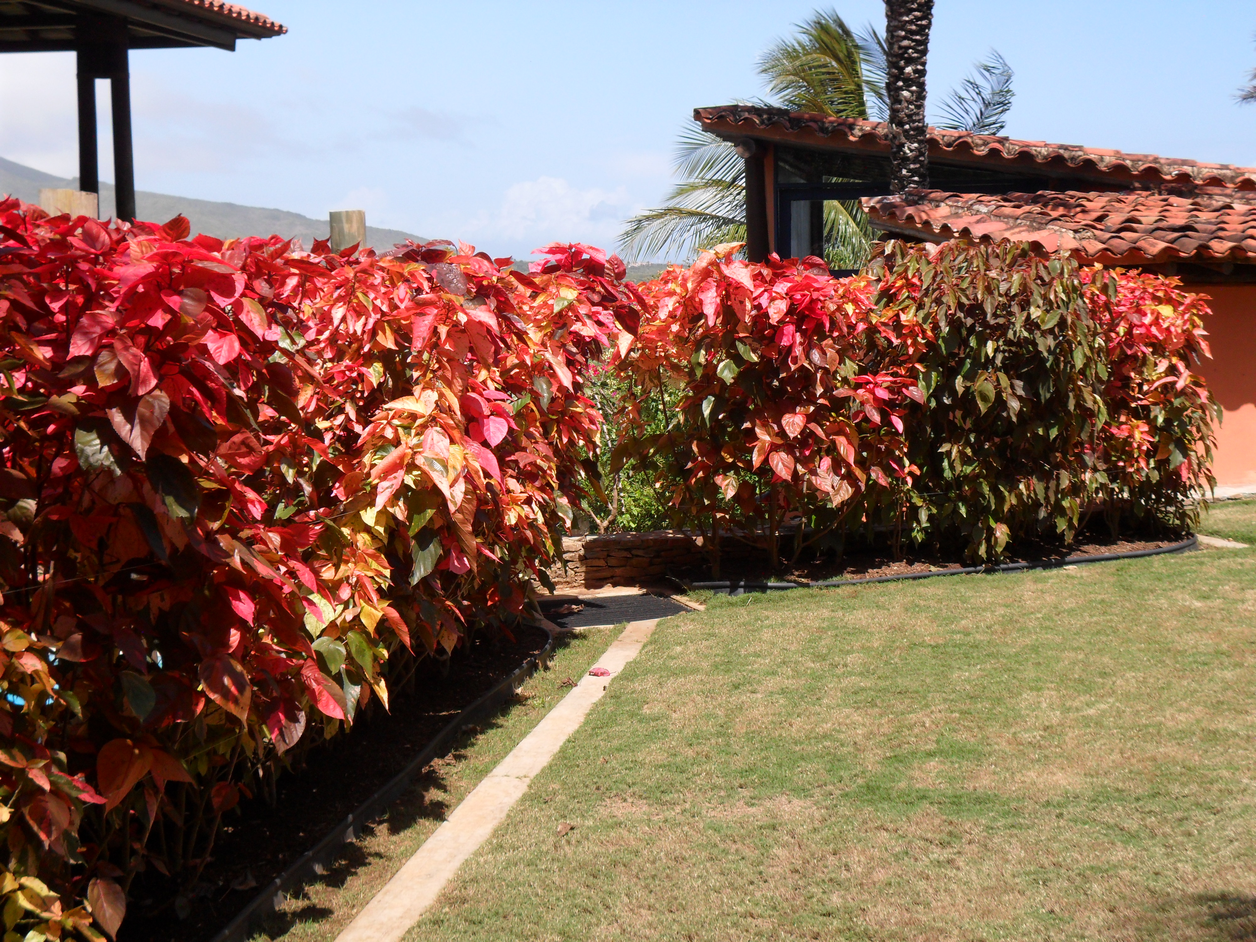 BELLA CASA EN VENTA EN ZONA ESTE URB CASA DE CAMPO COUNTRY CLUB