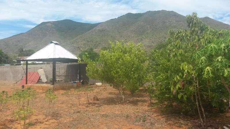 TERRENO CON POTENCIAL, EN SECTOR CATALAN, EN VENTA