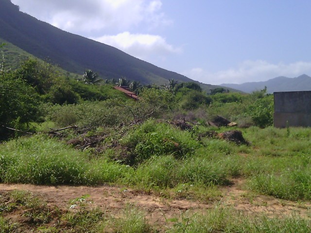 TERRENO EN VENTA, EN ANTOLIN DEL CAMPO