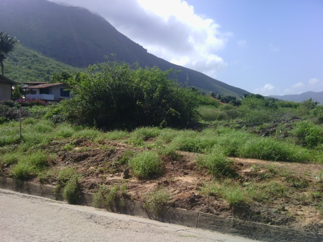 TERRENO EN VENTA, EN ANTOLIN DEL CAMPO