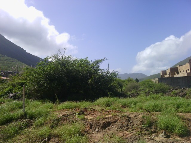 TERRENO EN VENTA, EN ANTOLIN DEL CAMPO
