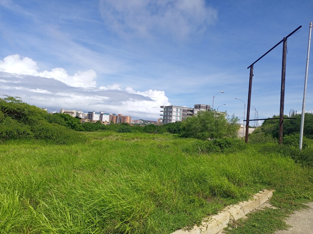 PLOTS FOR SALE IN THE EXCLUSIVE PUERTA DE HIERRO COMPLEX