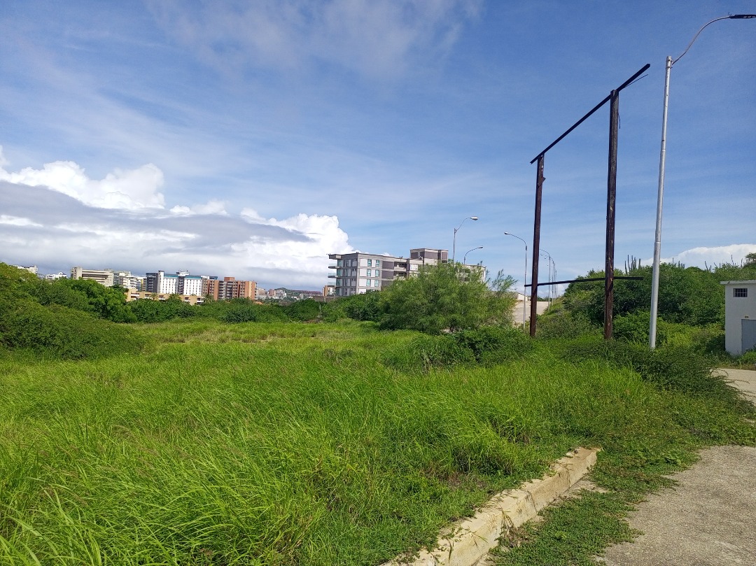 PLOTS FOR SALE IN THE EXCLUSIVE PUERTA DE HIERRO COMPLEX
