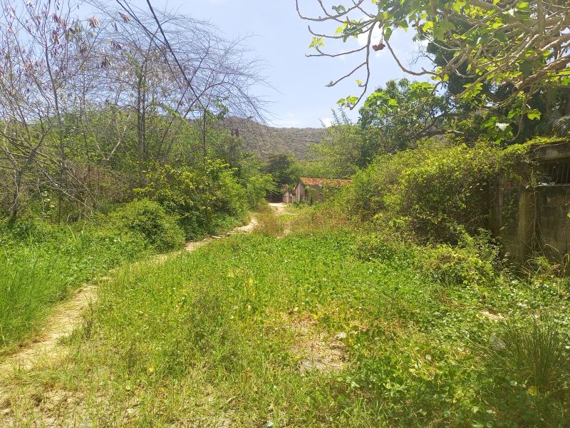 TERRENO EN VENTA EN AV 31 DE JULIO