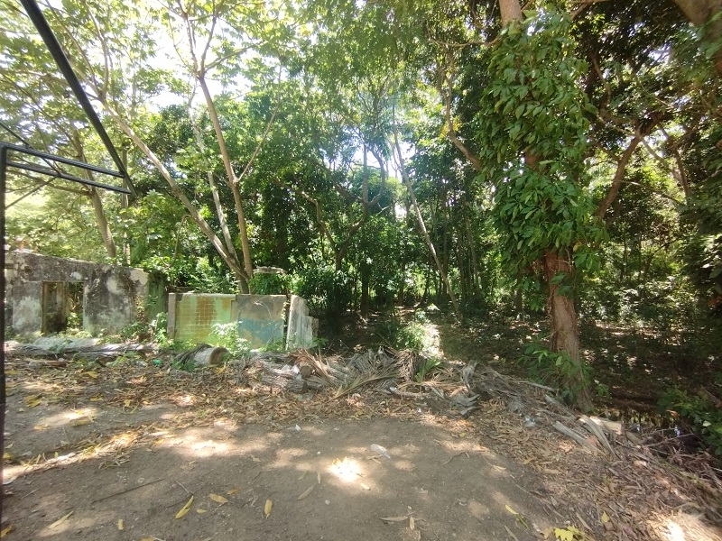 LAND FOR SALE IN LA ASUNCION EL COPEY SECTOR