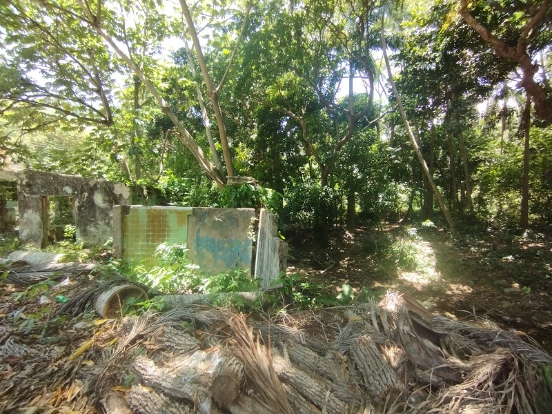 LAND FOR SALE IN LA ASUNCION EL COPEY SECTOR