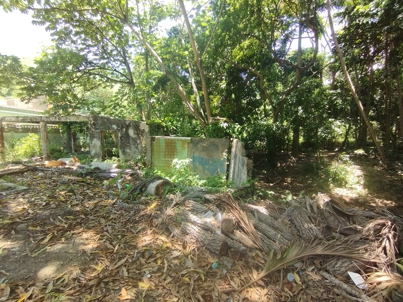 LAND FOR SALE IN LA ASUNCION EL COPEY SECTOR