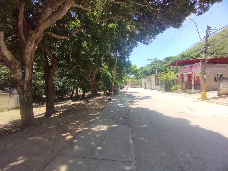 LAND FOR SALE IN LA ASUNCION EL COPEY SECTOR