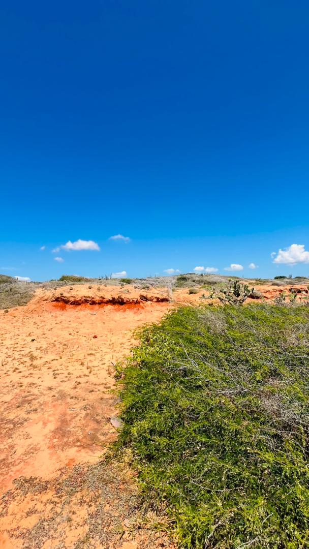 Land for sale in Punta Carnero