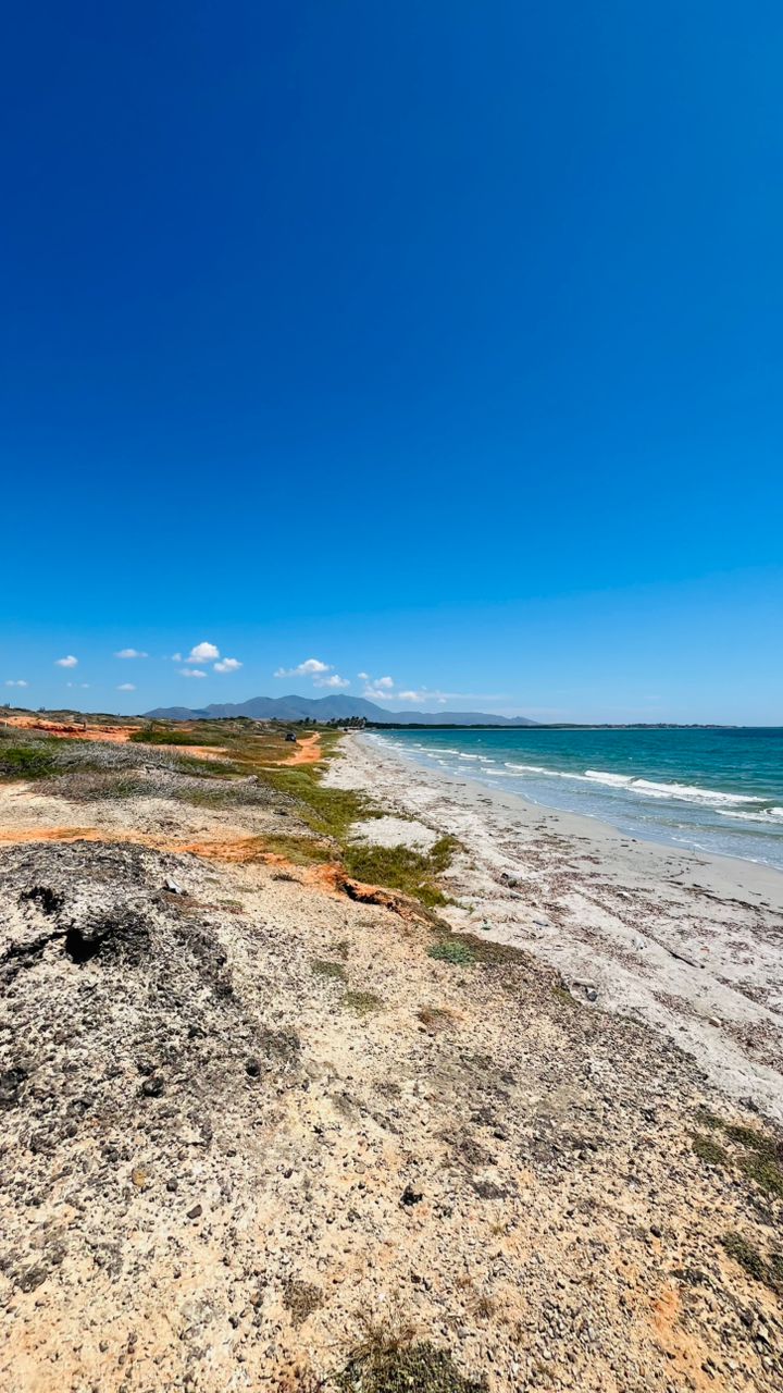 Land for sale in Punta Carnero