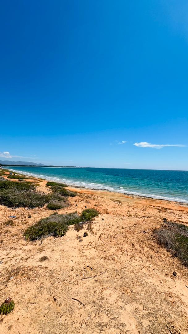 Land for sale in Punta Carnero