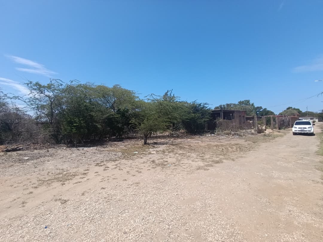 PARCELAS EN VENTA EN SAN ANTONIO