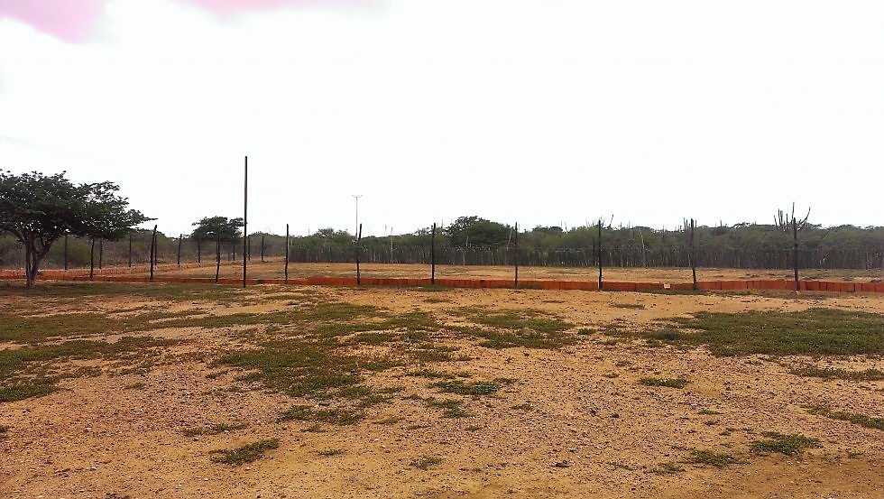 Finca