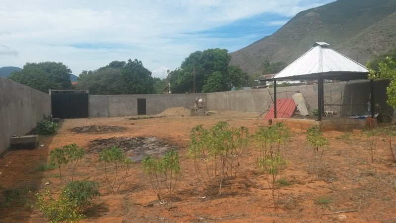 Terreno
