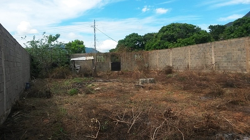 Terreno