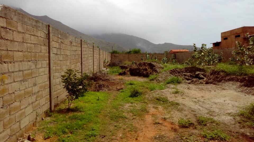 Terreno