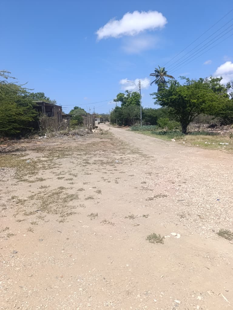 Terreno